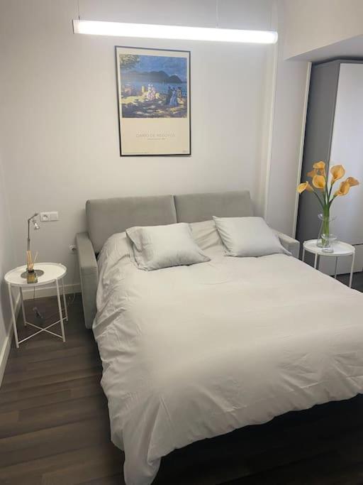 Domus Santa Clara Centrico Apartamento Con Wifi レオン エクステリア 写真